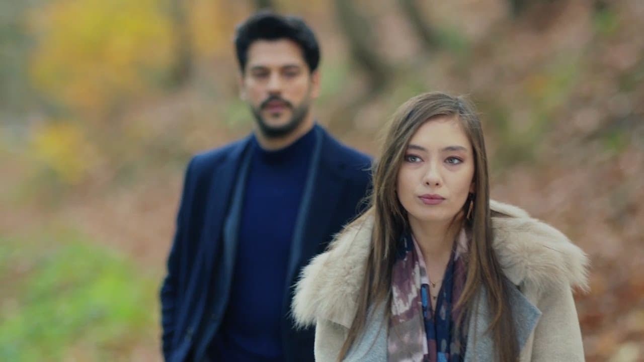 netflix kara sevda